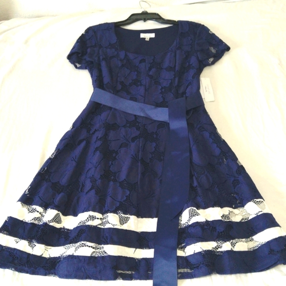 Signature by Robbie Bee Royal Blue Lace Midi Dress with White Accents